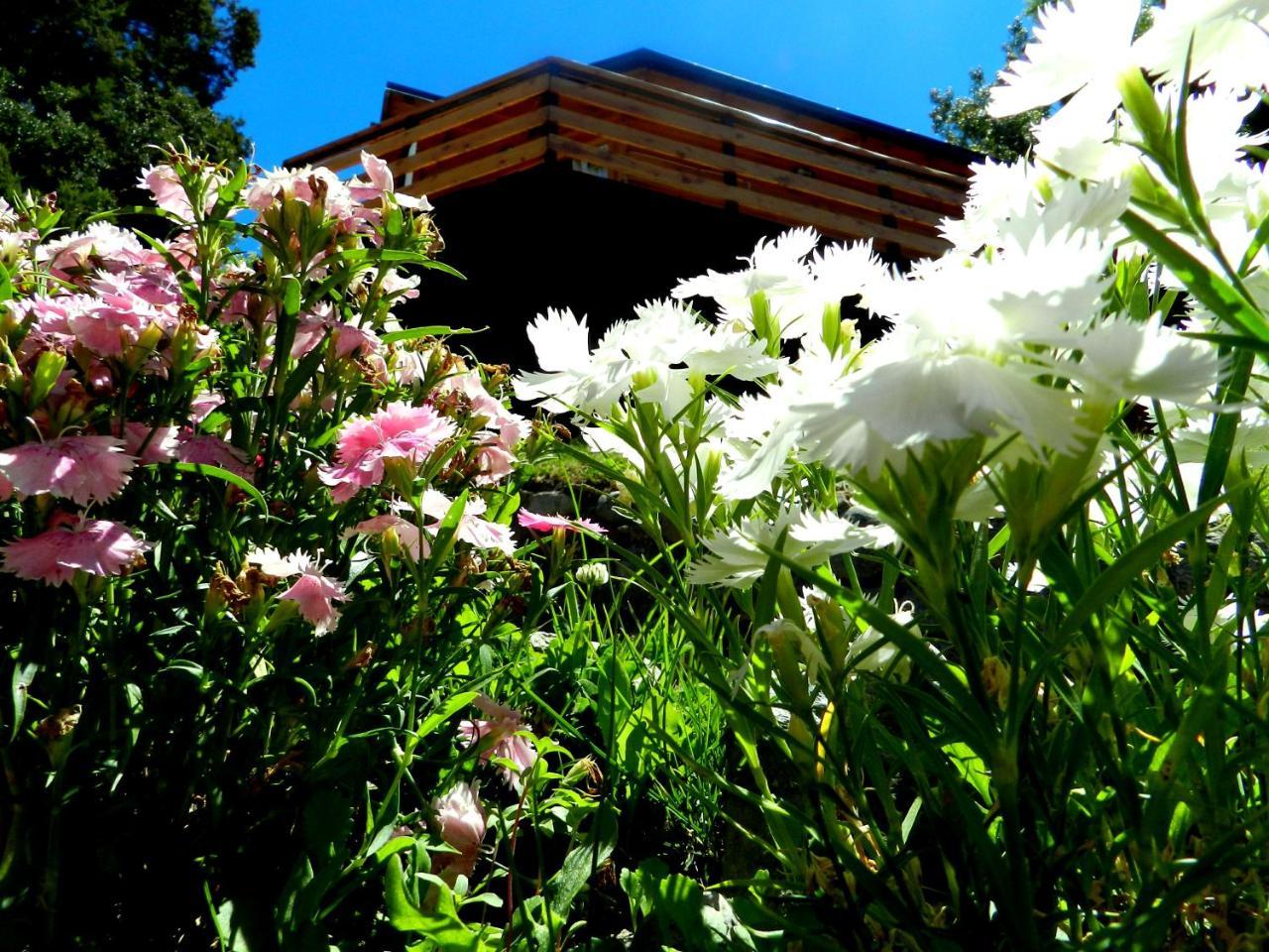 Chalé Casita De Madera *
